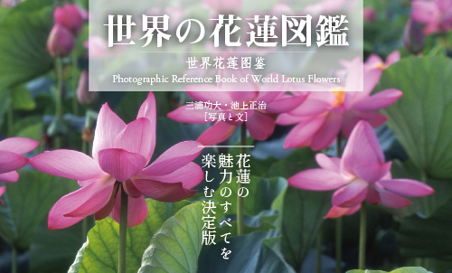 花蓮の世界 Zen Cart 日本語版 The Art Of E Commerce