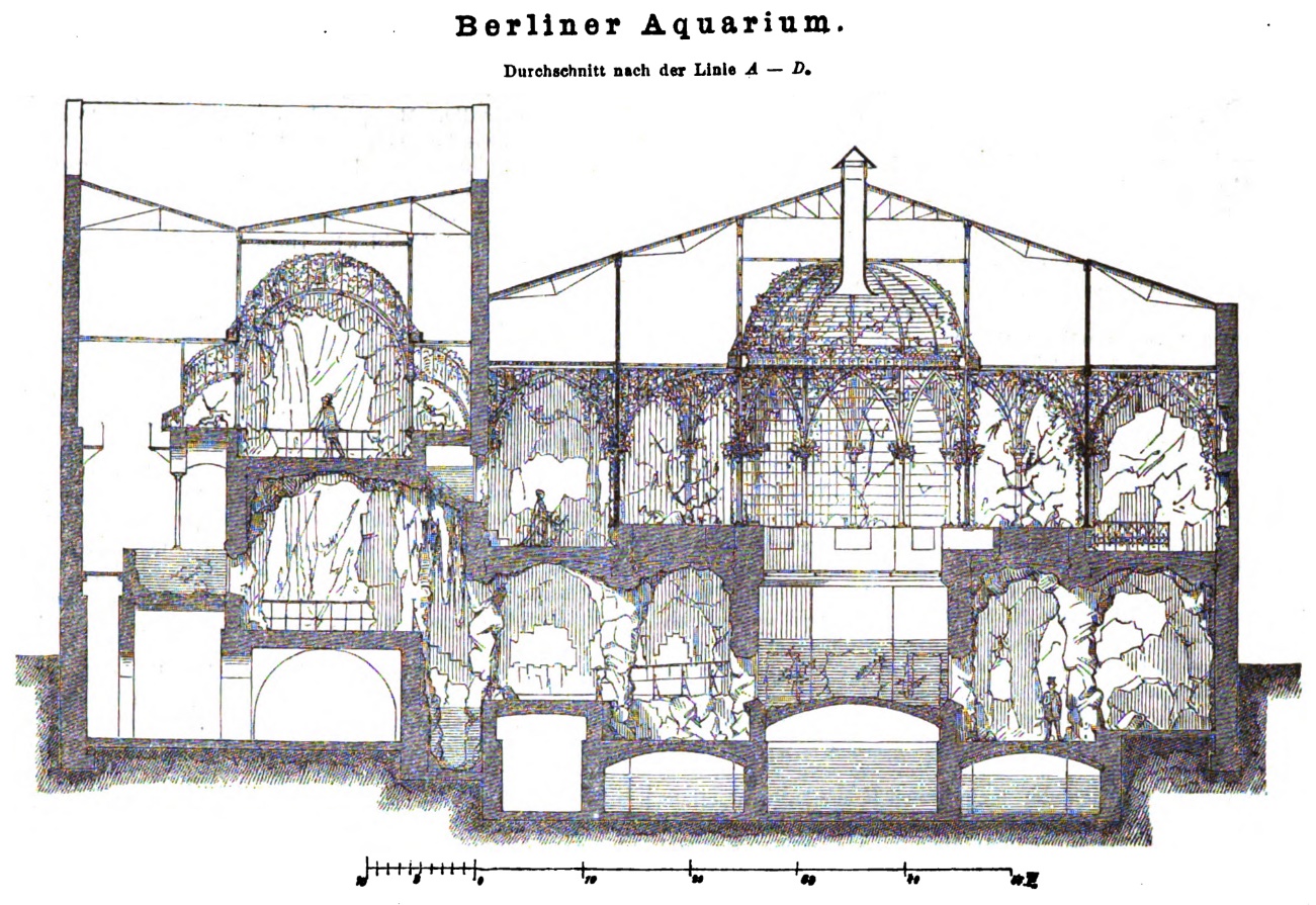 aquarium2 aquarium2