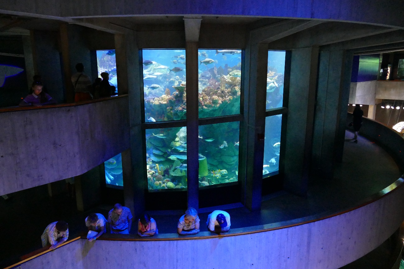 aquarium5 aquarium5